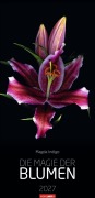 Cover-Bild zum Titel 'Die Magie der Blumen Kalender 2027' von ''