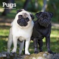 Pugs 2025 12 X 24 Inch Monthly Square Wall Calendar Plastic-Free - Browntrout
