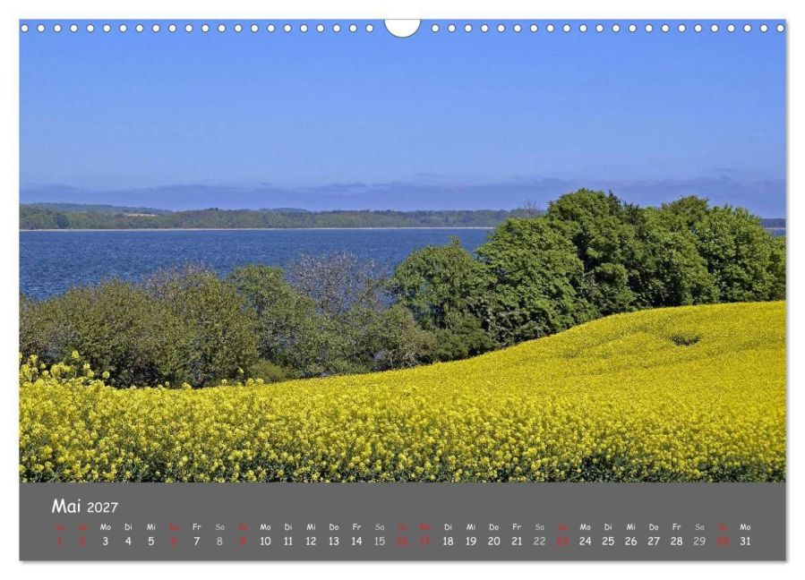 InsideView 10
