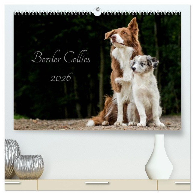 Border Collies 2026 (hochwertiger Premium Wandkalender 2026 DIN A2 quer), Kunstdruck in Hochglanz - Christine Hemlep