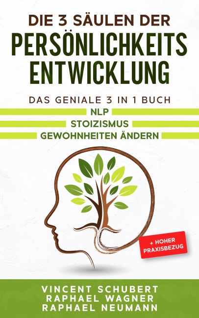 Die 3 Säulen der Persönlichkeitsentwicklung - Vincent Schubert, Raphael Wagner, Raphael Neumann