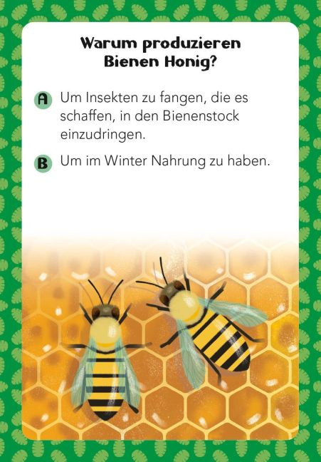 InsideView 5