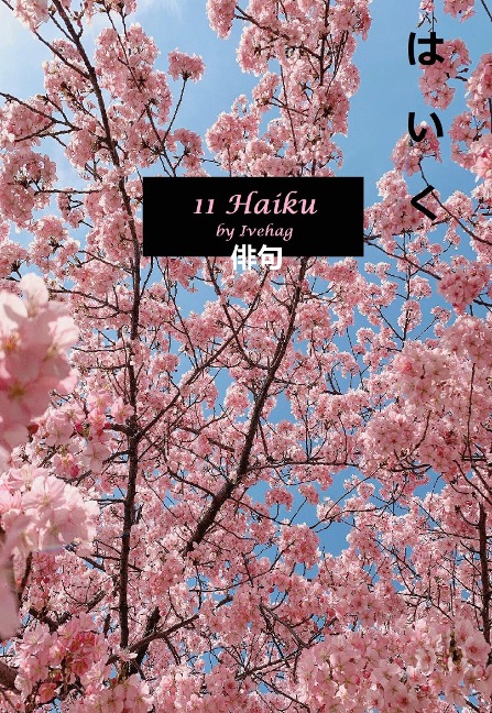 11 Haiku - Adam Ivehag