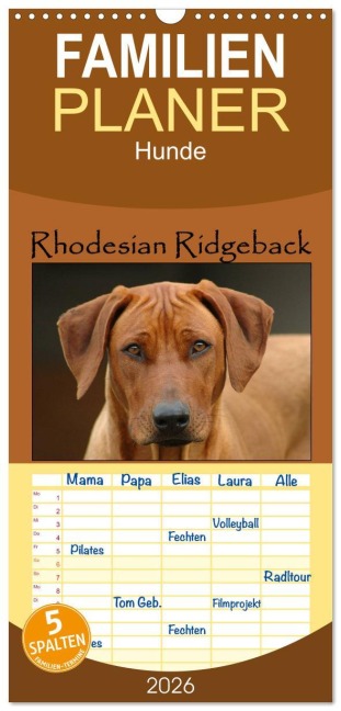 Familienplaner 2026 - Rhodesian Ridgeback Terminkalender mit 5 Spalten (Wandkalender, 21 x 45 cm) CALVENDO - Anke van Wyk - www. germanpix. net
