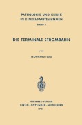 Cover-Bild zum Titel 'Die Terminale Strombahn' von 'L. Illig'