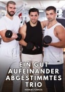 Cover-Bild zum Titel 'Ein gut aufeinander abgestimmtes Trio' von 'Manuel García'