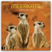 Meerkats - Erdmännchen 2026 - 16-Monatskalender - Gifted Stationery Co. Ltd
