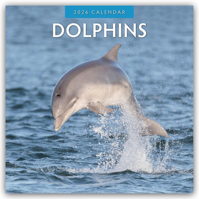 Dolphins - Delfine 2026 - 16-Monatskalender - Robin Red