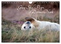 Grey Seal Pups of Donna Nook (Wall Calendar 2024 DIN A4 landscape), CALVENDO 12 Month Wall Calendar - Wendy Thompson-Moon