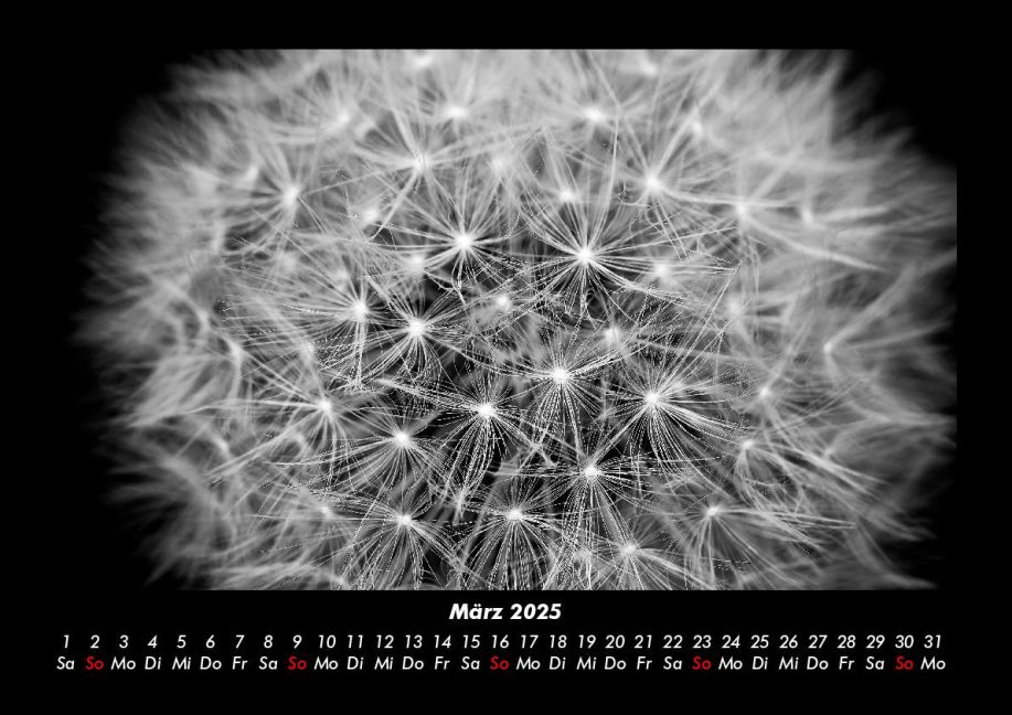 InsideView 7