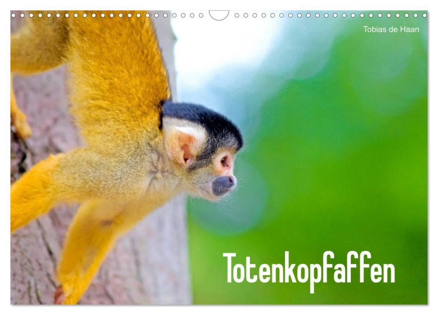 Totenkopfaffen (Wandkalender 2026 DIN A3 quer), CALVENDO Monatskalender - Tobias De Haan