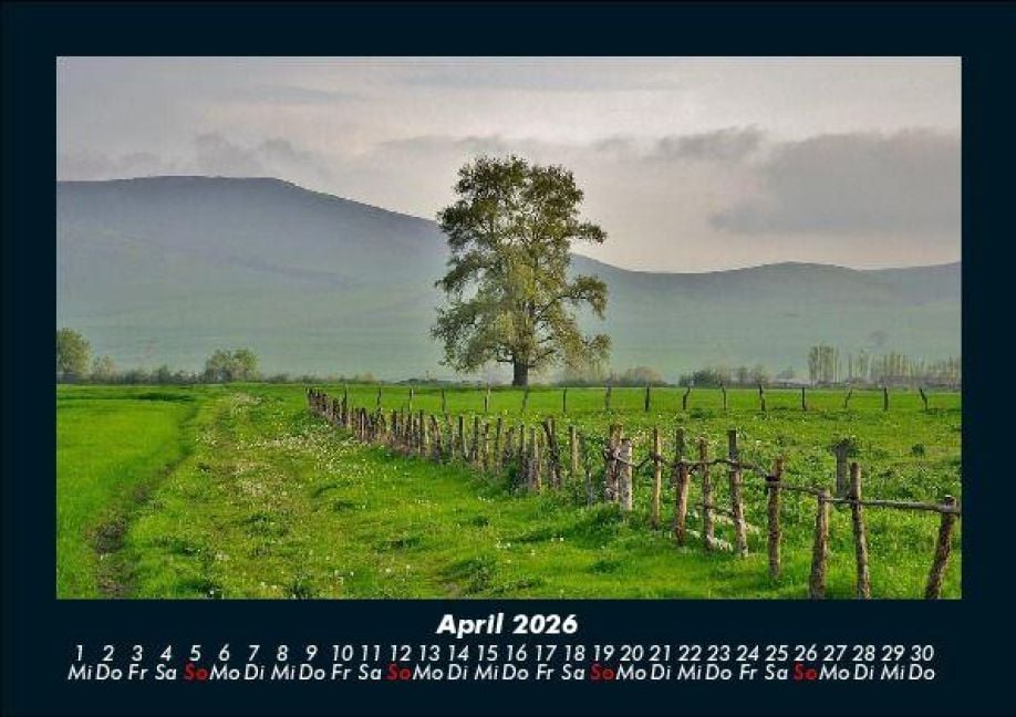 InsideView 8