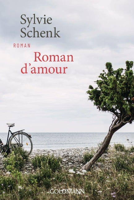 Roman d'amour - Sylvie Schenk