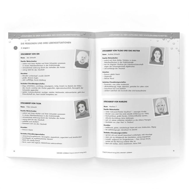 InsideView 2