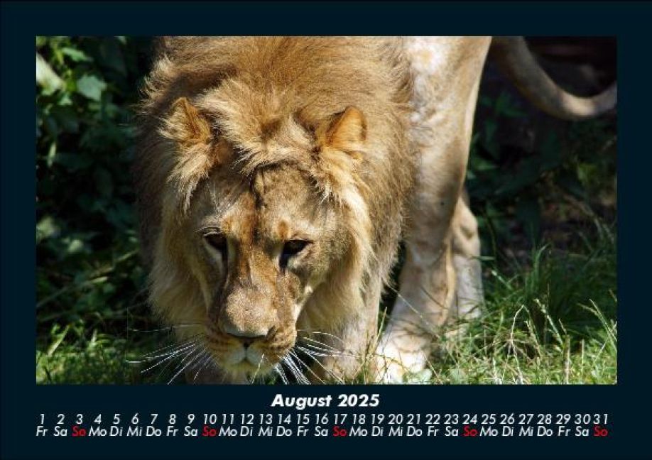 InsideView 12