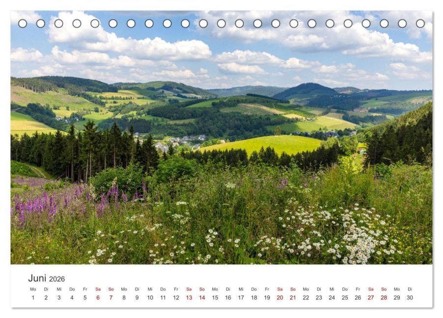 InsideView 11