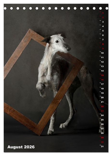 InsideView 13
