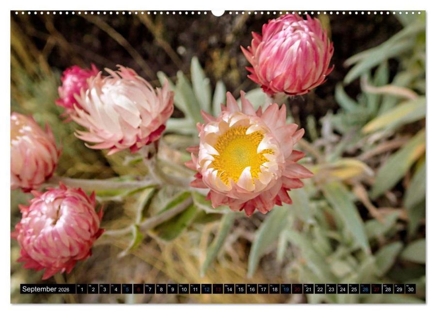 InsideView 14