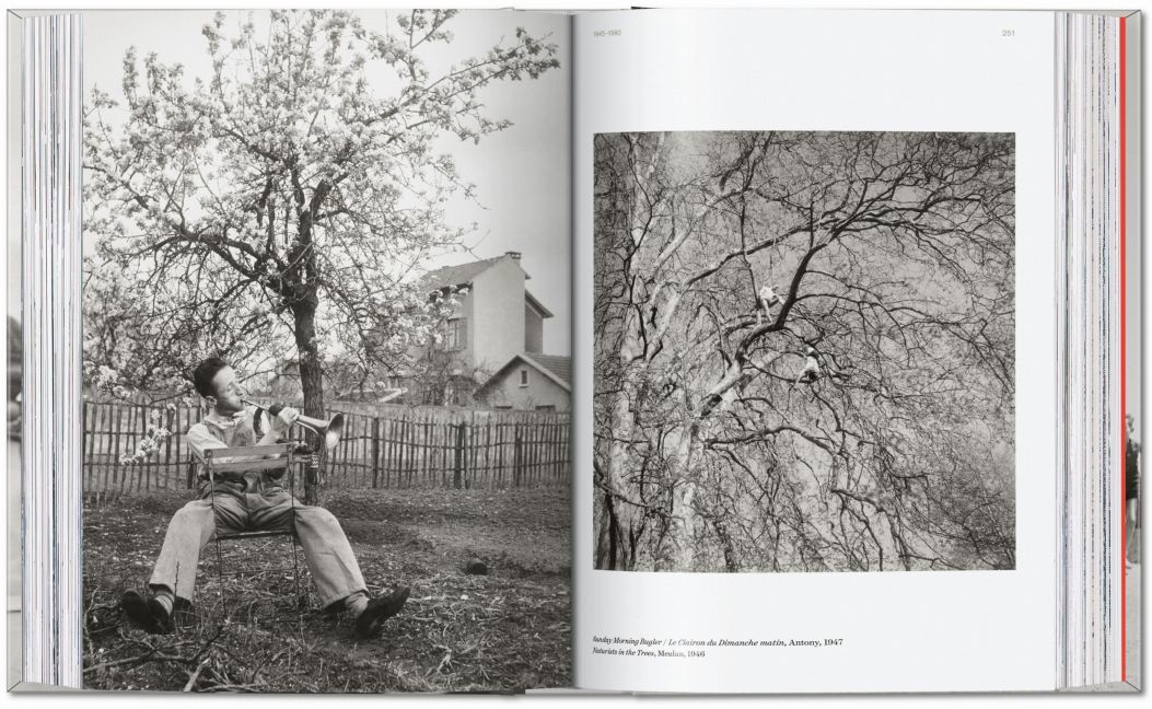 InsideView 16