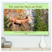 Wir sind die Stars im Wald (hochwertiger Premium Wandkalender 2026 DIN A2 quer), Kunstdruck in Hochglanz - Christa Kramer