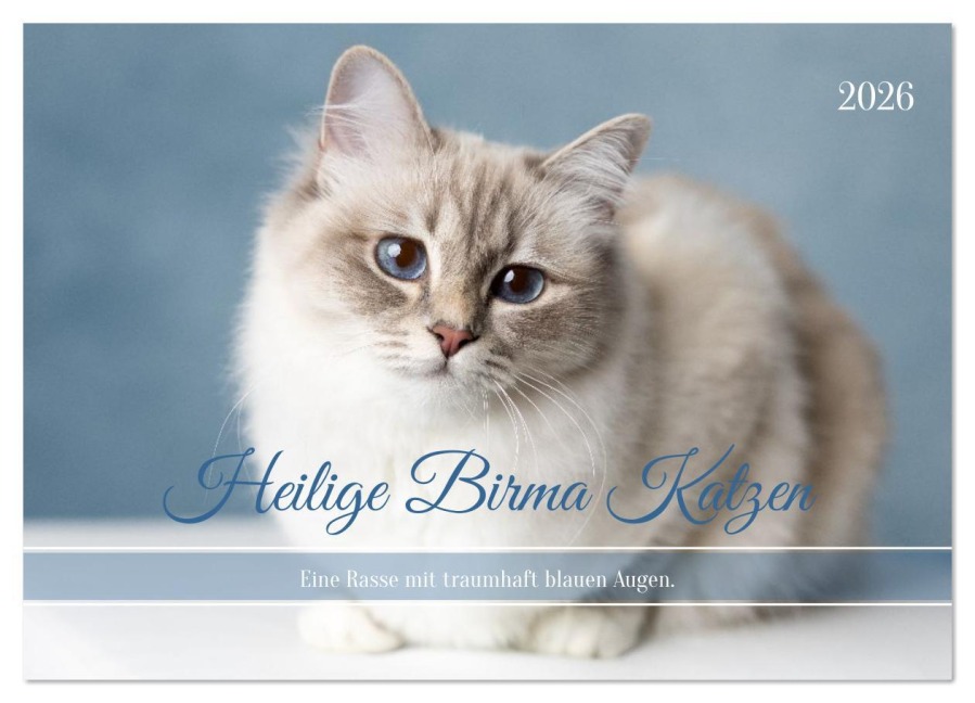 Heilige Birma Katzen - Eine Rasse mit traumhaft blauen Augen. (Wandkalender 2026 DIN A3 quer), CALVENDO Monatskalender - Michaela Thoms Heilige Birma Katzen - Eine Rasse mit traumhaft blauen Augen. (Wandkalender 2026 DIN A3 quer), CALVENDO Monatskalender - Michaela Thoms