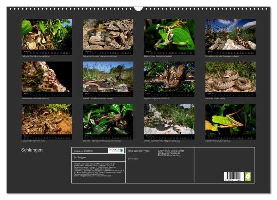 InsideView 5