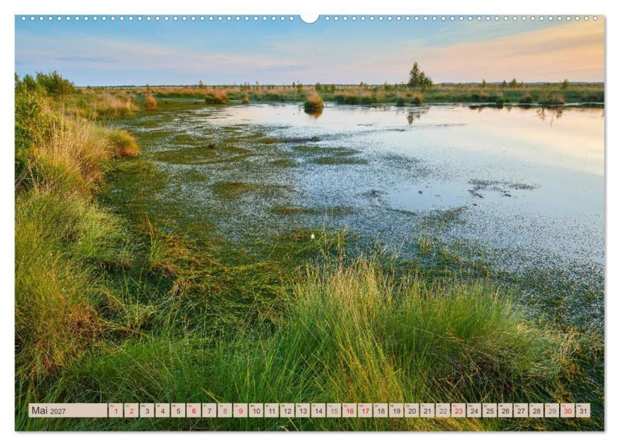 InsideView 10