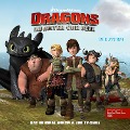 Cover-Bild zum Titel 'Folge 2: Der Sturm / Fackel (Das Original Hörspiel zur TV-Serie)' von 'Thomas Karallus'