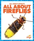 All about Fireflies - Golriz Golkar