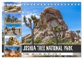 JOSHUA TREE NATIONAL PARK Wüstenimpressionen aus Südkalifornien (Tischkalender 2024 DIN A5 quer), CALVENDO Monatskalender - Melanie Viola