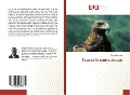 Cover-Bild zum Titel 'Sauver le conte akouè' von 'Charles Kohoury'