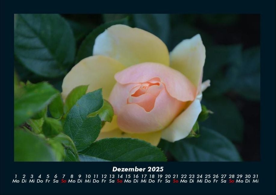 InsideView 4
