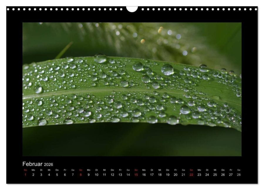 InsideView 7