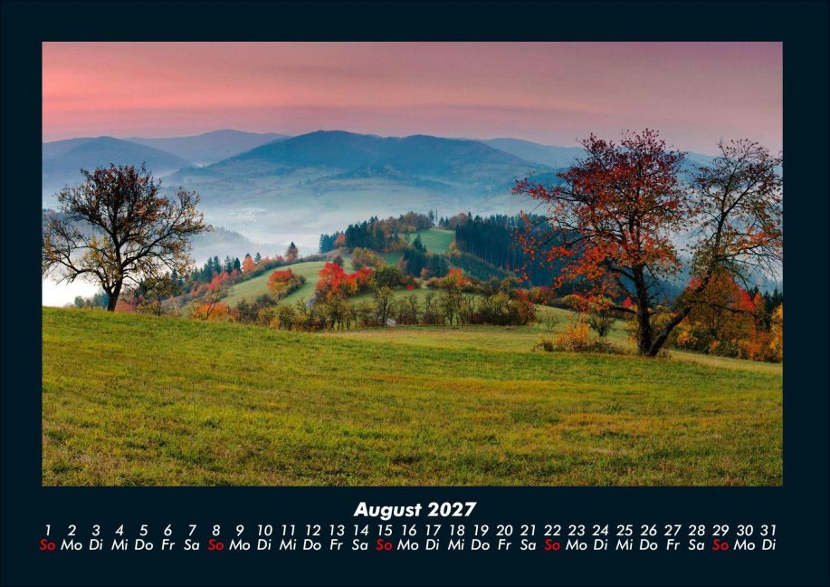 InsideView 12