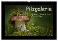 Pilzgalerie - Heimische Pilze aus der Region Rheinland-Pfalz (Wandkalender 2024 DIN A2 quer), CALVENDO Monatskalender - Beate Wurster