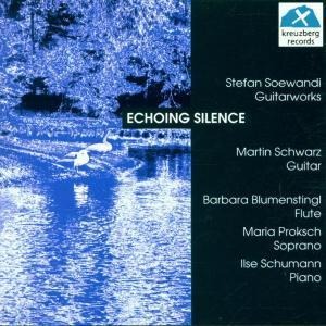 Echoing Silence-Guitarworks - Martin/Blumenstingl Schwarz