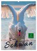 Der Schwan (Wandkalender 2025 DIN A2 hoch), CALVENDO Monatskalender - Peter Roder