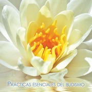 Cover-Bild zum Titel 'Prácticas esenciales del budismo' von 'Gueshe Kelsang Gyatso'
