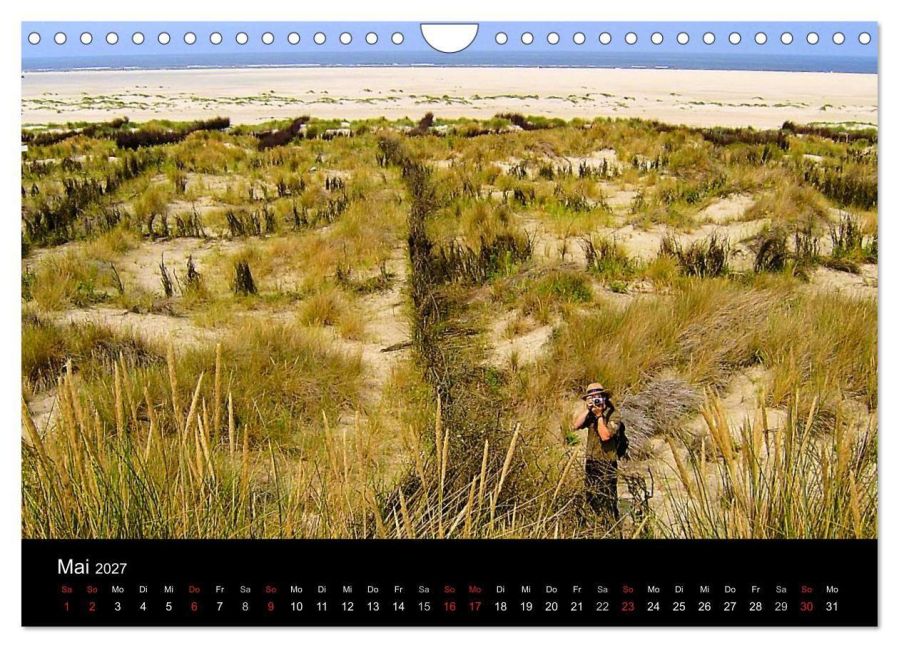 InsideView 10