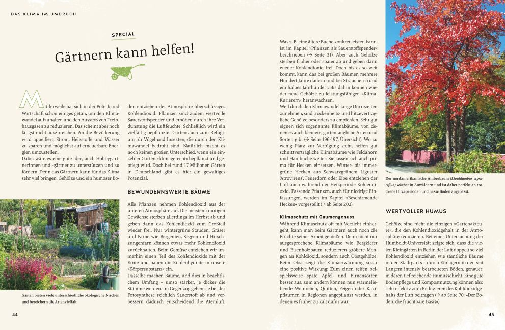 InsideView 3