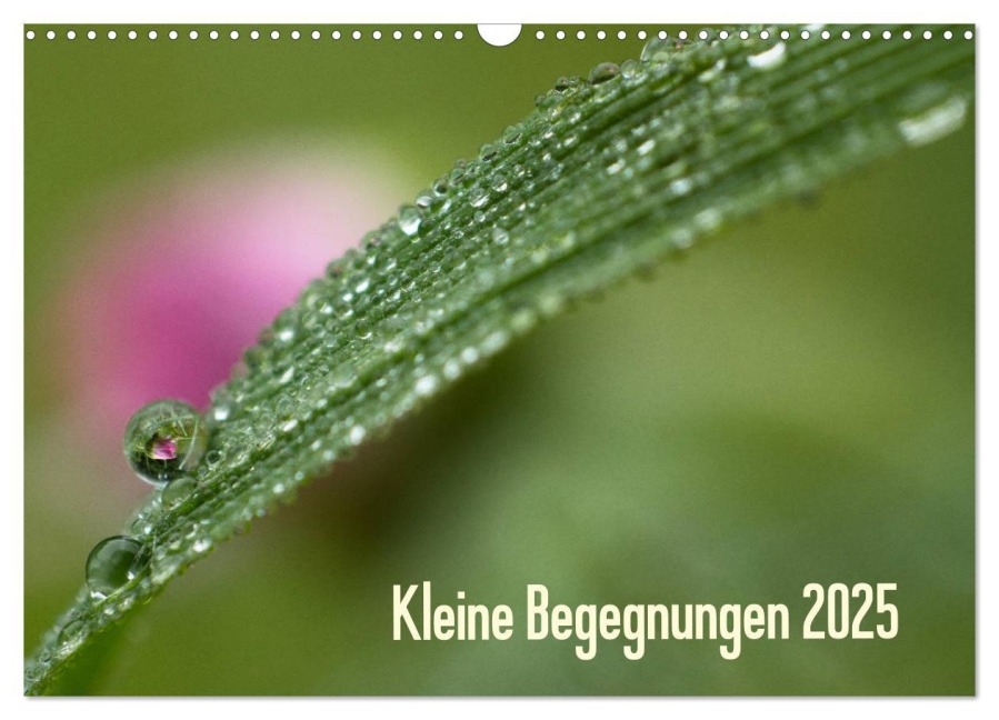 Kleine Begegnungen (Wandkalender 2025 DIN A3 quer), CALVENDO Monatskalender - Gisela Farenholtz