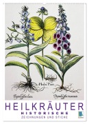 Heilkräuter: Historische Zeichnungen und Stiche (Wandkalender 2025 DIN A2 hoch), CALVENDO Monatskalender - Calvendo Calvendo