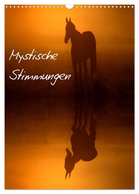 Mystische Stimmungen (Wandkalender 2026 DIN A3 hoch), CALVENDO Monatskalender - Lars Tuchel