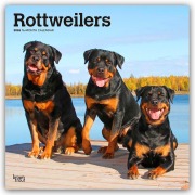 Cover-Bild zum Titel 'Rottweilers - Rottweiler 2026 - 16-Monatskalender' von 'Browntrout Publishers'