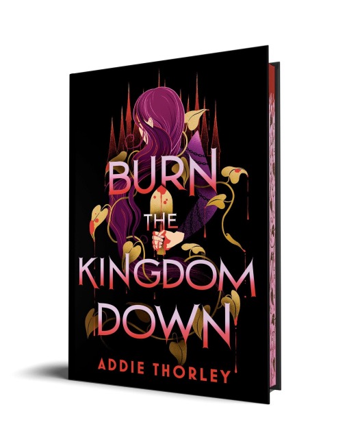 Burn the Kingdom Down - Addie Thorley