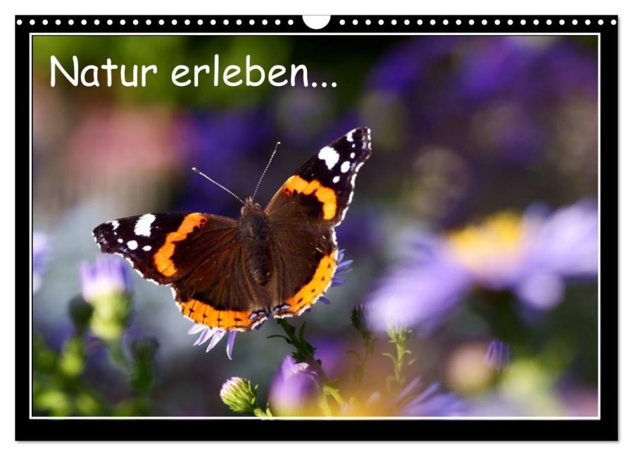 Natur erleben... (Wandkalender 2027 DIN A3 quer), CALVENDO Monatskalender - Robert Angermayr