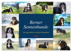 Cover-Bild zum Titel 'Berner Sennenhunde - Mit jedem Blick ein Stück Geborgenheit (Wandkalender 2026 DIN A2 quer), CALVENDO Monatskalender' von 'Jana K. Fotografie'