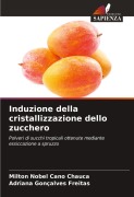Cover-Bild zum Titel 'Induzione della cristallizzazione dello zucchero' von 'Milton Nobel Cano Chauca, Adriana Gonçalves Freitas'