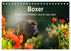 Cover-Bild zum Titel 'Boxer Frech und fröhlich durch das Jahr (Tischkalender 2026 DIN A5 quer), CALVENDO Monatskalender' von 'Yvonne Janetzek'