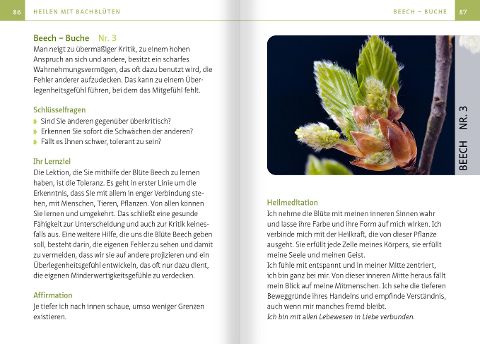 InsideView 5